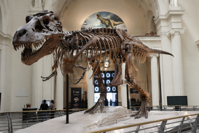 Field Museum, Chicago